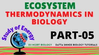 Ecosystem Thermodynamics in Biology Part05 [upl. by Prudence]