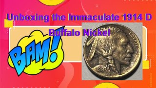 Unboxing the Immaculate 1914 D Buffalo Nickel [upl. by Sajovich]