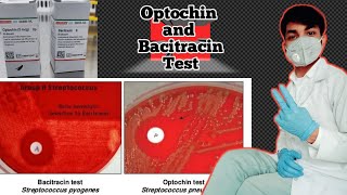 Optochin and Bacitracin test  Optochin susceptibility test  optochin sensitivity test procedure [upl. by Corb]