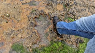 Dinosaur footprint in Scotland Kildonan beach walk  Isle of Arran [upl. by Corina]