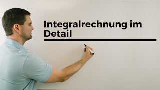 Integralrechnung im Detail Flächenberechnung Übersicht Integrale  Mathe by Daniel Jung [upl. by Llevad556]