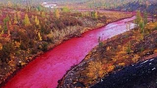 Russian River Mysteriously Turns Blood Red [upl. by Guntar]