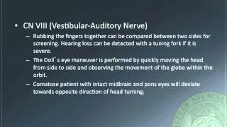 Neurological Examination Of The Newborn [upl. by Kacey]