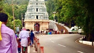 Tirumala Tirupati by Foot Path  Tirumala hill from Alipiri gate by steps [upl. by Manville806]