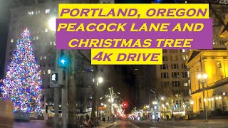 Portland Oregon  Peacock Lane and Christmas Tree  4k Driving Video [upl. by Chatterjee]