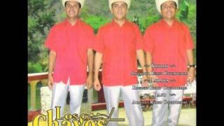 MIX Trio Virtud Hidalguense Los Chavos de Hidalgo [upl. by Ylrebmit907]