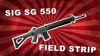 Stgw90  SIG 550  SG 550  Zerlegung  Field Strip [upl. by Emiaj]