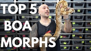 Top 5 Favorite Boa Morphs at Jason’s Exotic Reptiles [upl. by Dugan]