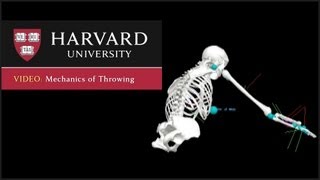 Mechanics of Throwing [upl. by Mada]