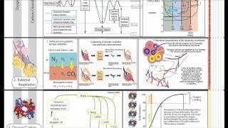 Respiratory Physiology Part 2 [upl. by Onilecram]