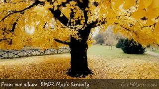 EMDR Therapy Session  Dissociation PTSD Therapy  Music For The Here And Now to Relax [upl. by Stryker636]