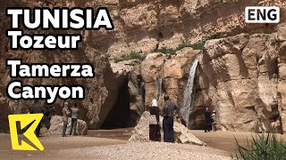 【K】Tunisia TravelTozeur튀니지 여행토주르사막 사파리 슈비카 협곡과 타메르자 협곡 오아시스Tamerza CanyonDesert SafariOasis [upl. by Akemehs]