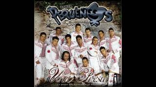 Banda Pequeños Musical Mix 2023 Bonitas del Ayer [upl. by Aihtnys]