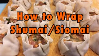 HOW TO WRAP SHUMAISIOMAI  STRUGGLE 101  Pepperhona’s Kitchen [upl. by Eemak]