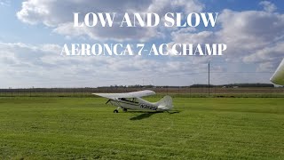 Low and Slow Aeronca Champ [upl. by Helm]