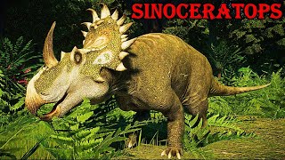 sinoceratops [upl. by Uyerta]