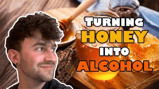 How to Make Mead at Home  Honey  Water  Yeast [upl. by Orsini]