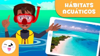 Descubre los hábitats acuáticos  Tipos de hábitats para niños [upl. by Elohcim]