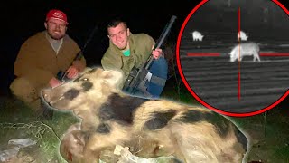 Hog Hunting With Kendall Gray [upl. by Zeba]