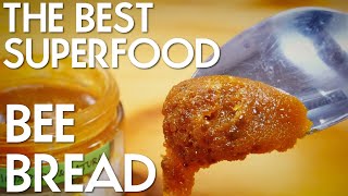 WHAT IS BEE BREAD AND WHY ITS ONE OF THE MOST POWERFUL SUPERFOODS  PRIMAL EATS [upl. by Issi]