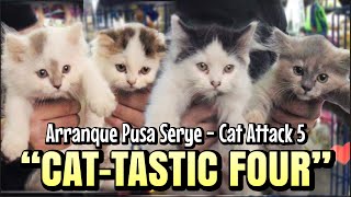 quotCATTASTIC FOURquot  Arranque Pusa Serye  Cat Attack 5  Oct 05 2023 [upl. by Airehc]