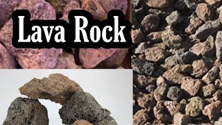 Lava rock amp Fish aquarium [upl. by Schubert789]