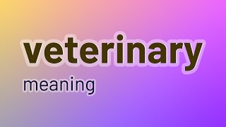 Veterinary  30 English Vocabulary Flashcards [upl. by Lavotsirc]