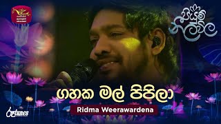 Gahaka Mal Pipila  ගහක මල් පිපිලා  Ridma Weerawardena  Piyum Neela Vila  Roo Tunes [upl. by Murdocca]