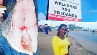 Welcome to Iganga District [upl. by Vanna]