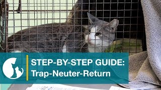 Step by Step Guide TrapNeuterReturn [upl. by Itra303]