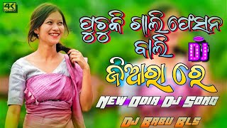 Jiyara Re Odia Song Dj  Sambalpuri Dj Song Odia Dj Song  Dj Babu Bls [upl. by Ygief]