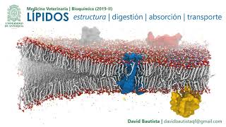 BIOQUÍMICA  Estructura de los lípidos [upl. by Opaline]