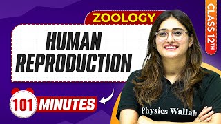 Human Reproduction in 100 Minutes  Class 12th Zoology  Mind Map Series [upl. by Mack451]