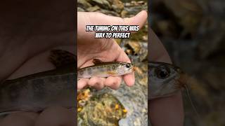 Were having soft tacos later brookie fishing in WNC gorgeous little one [upl. by Alexandros]