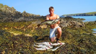 Spearfishing MASSIVE Pollock amp Coalfish at dawn in a remote coastal wilderness [upl. by Maynard]