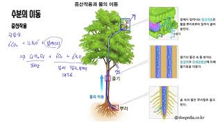 4강 수분환경 손해평가사 1차시험 재배학 기초강의 [upl. by Notnel]