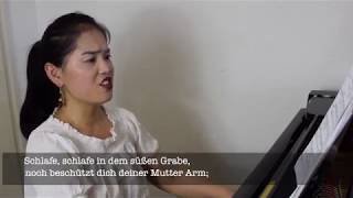 Franz Schubert  Wiegenlied Op 98 Nr 2 D 498 [upl. by Chrissie928]