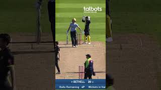 Jacob Bethell maiden T20 fifty youbears cricketshorts cricket crickethighlights cricketlover [upl. by Bess]