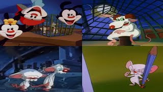 All Pinky and the Brain Intros 1993  2022 [upl. by Okier]