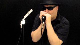 Sweet Home Chicago  Blues Harmonica [upl. by Grethel]