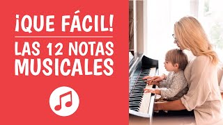 Las 12 NOTAS MUSICALES Explicadas ¡Así de Simple [upl. by Denton]