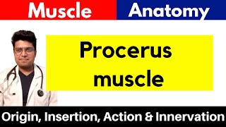 Procerus Muscle  Origin Insertion Action amp Innervation Procerus muscle in Hindi [upl. by Furgeson956]