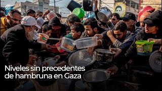 Focus  Niveles sin precedentes de hambruna en Gaza [upl. by Xavler]