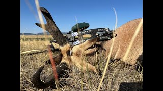 24 Wyoming Archery Antelope Hunt [upl. by Nniw271]