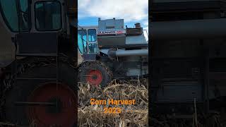 Gleaner M2 Corn Harvest 2023 Sneak Peak gleaner allischalmers [upl. by Coben]