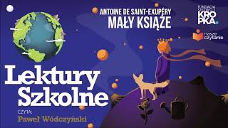 Mały Książe  Antoine de SaintExupéry  czyta Paweł Wódczyński lekturyszkolne [upl. by Sauder]