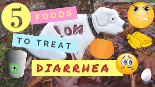 5 Foods to Treat Diarrhea [upl. by Kram]