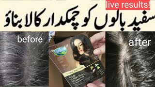 Luvvel hair darkening shampoo review  Demo price side effects [upl. by Heller812]