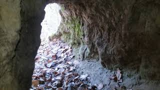 Inside a Grizzly Bear Den in Alaska [upl. by Hulbert234]