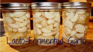 Fermenting Garlic [upl. by Acirat]